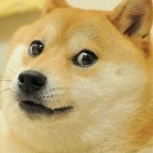 Meet your Posher, Isaiah